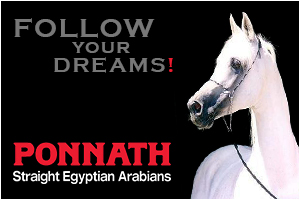 Ponnath Arabians
